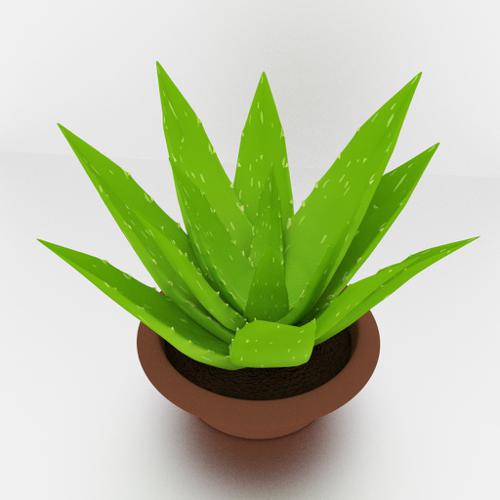 Aloe vera plant preview image